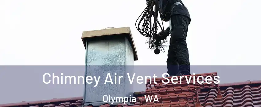  Chimney Air Vent Services Olympia - WA
