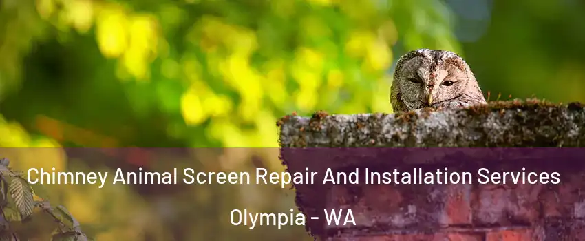  Chimney Animal Screen Repair And Installation Services Olympia - WA