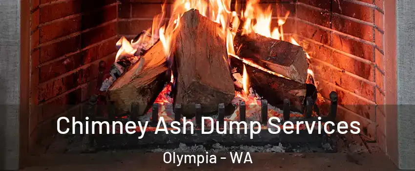  Chimney Ash Dump Services Olympia - WA