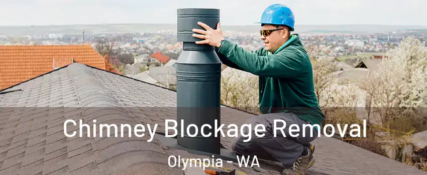  Chimney Blockage Removal Olympia - WA