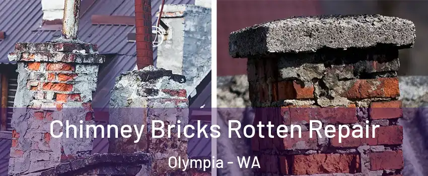  Chimney Bricks Rotten Repair Olympia - WA