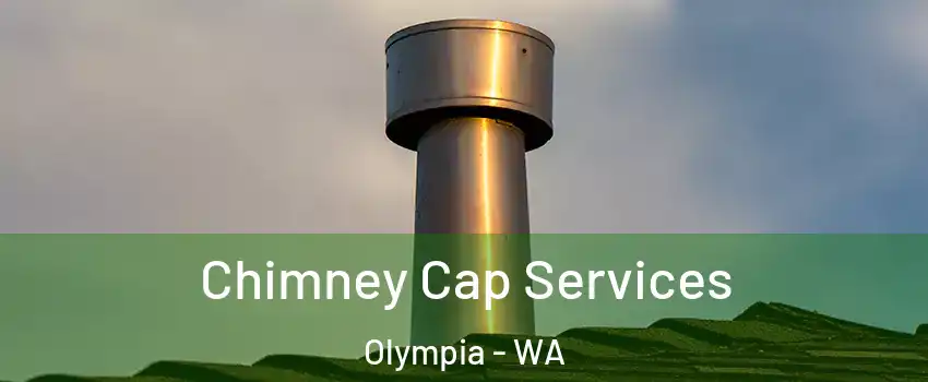  Chimney Cap Services Olympia - WA