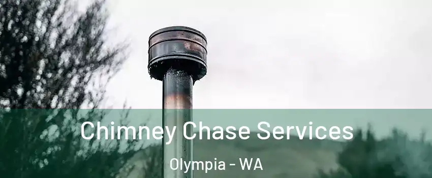  Chimney Chase Services Olympia - WA
