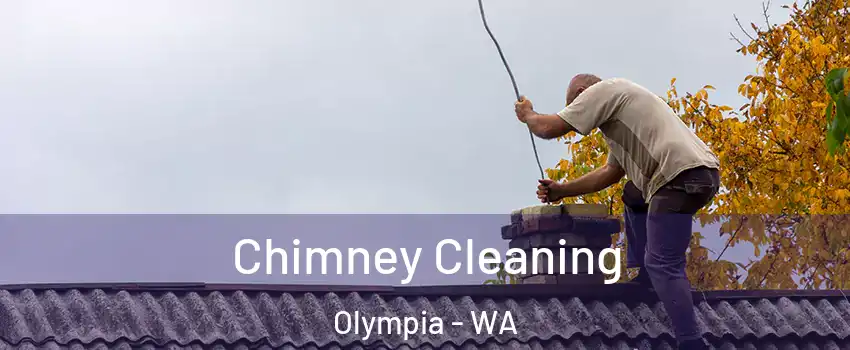  Chimney Cleaning Olympia - WA