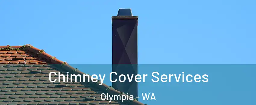  Chimney Cover Services Olympia - WA