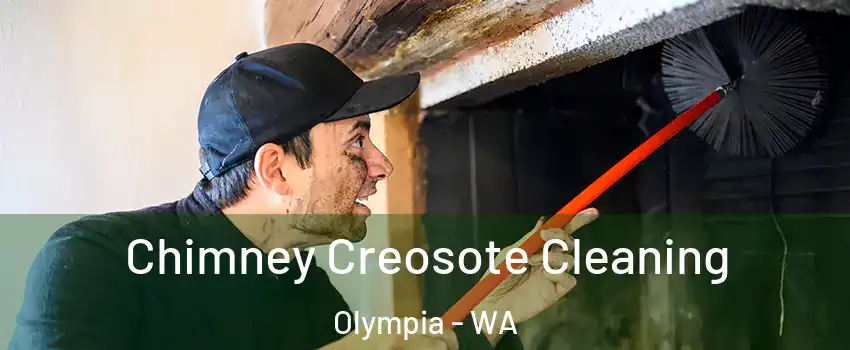  Chimney Creosote Cleaning Olympia - WA