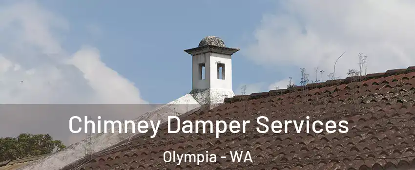  Chimney Damper Services Olympia - WA