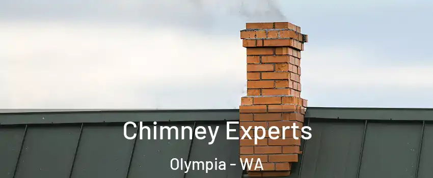 Chimney Experts Olympia - WA