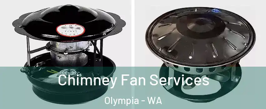  Chimney Fan Services Olympia - WA