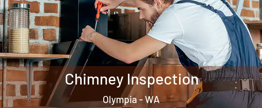  Chimney Inspection Olympia - WA