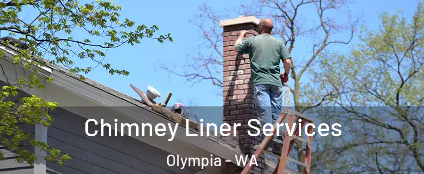  Chimney Liner Services Olympia - WA