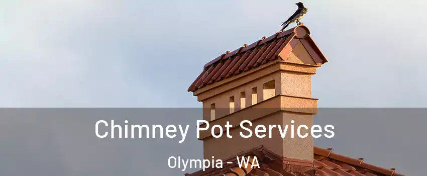  Chimney Pot Services Olympia - WA