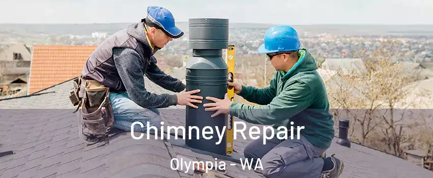  Chimney Repair Olympia - WA