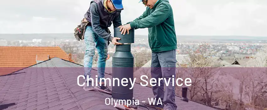  Chimney Service Olympia - WA