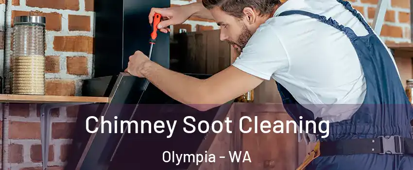  Chimney Soot Cleaning Olympia - WA