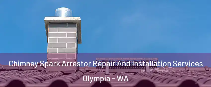  Chimney Spark Arrestor Repair And Installation Services Olympia - WA