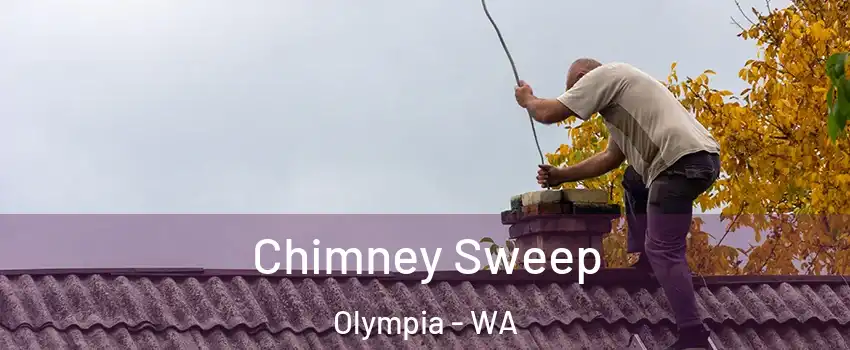  Chimney Sweep Olympia - WA