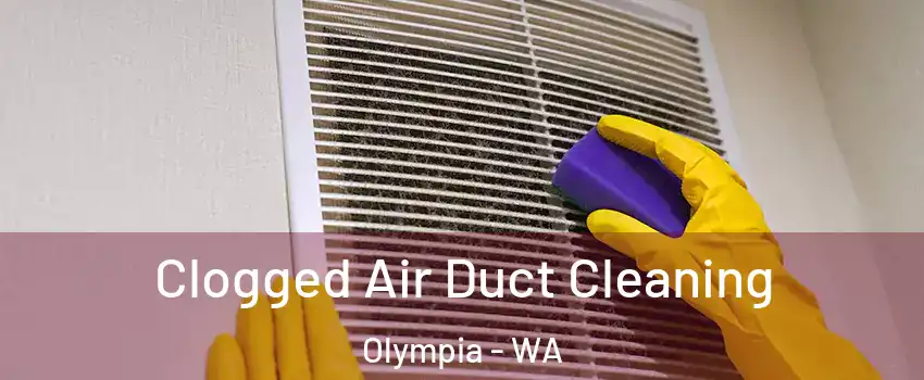  Clogged Air Duct Cleaning Olympia - WA