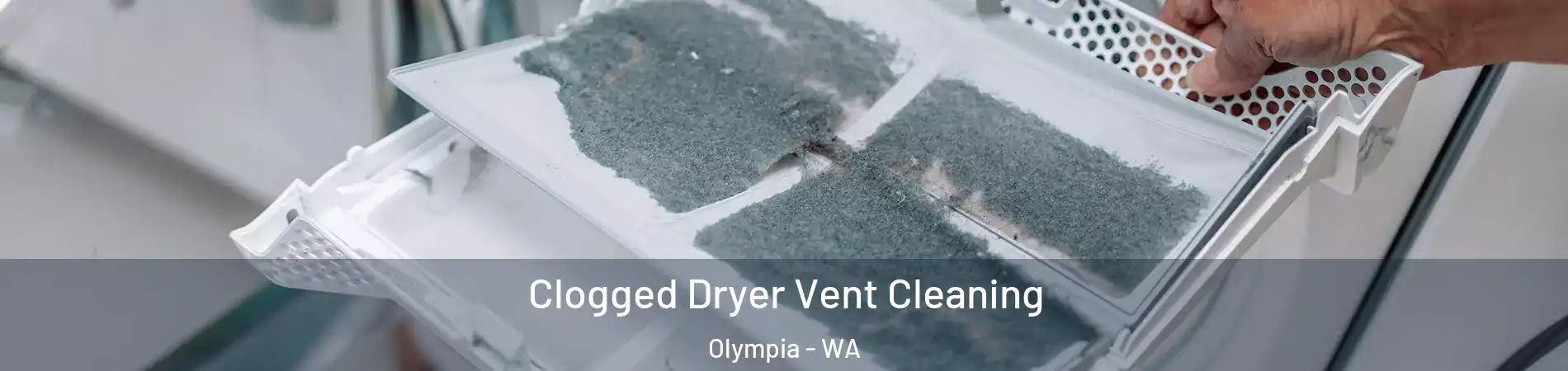  Clogged Dryer Vent Cleaning Olympia - WA