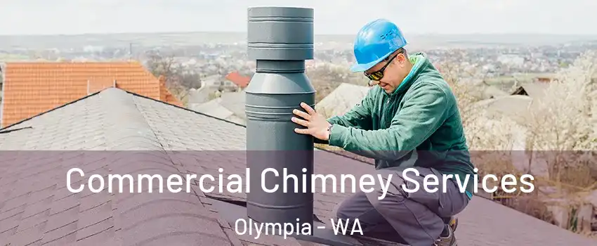 Commercial Chimney Services Olympia - WA