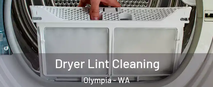  Dryer Lint Cleaning Olympia - WA