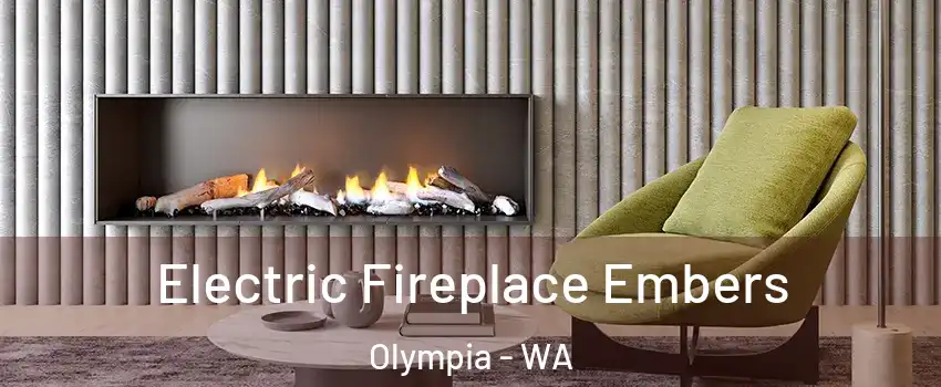 Electric Fireplace Embers Olympia - WA