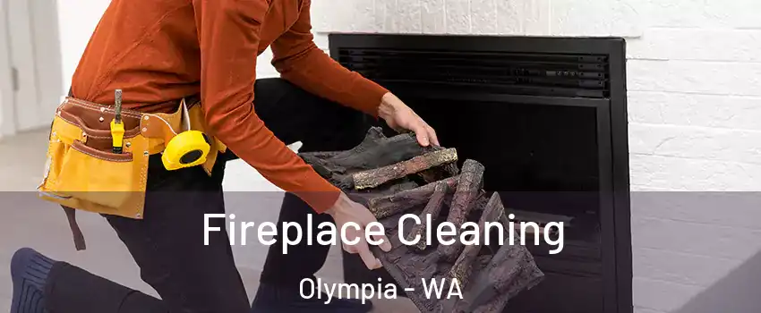  Fireplace Cleaning Olympia - WA