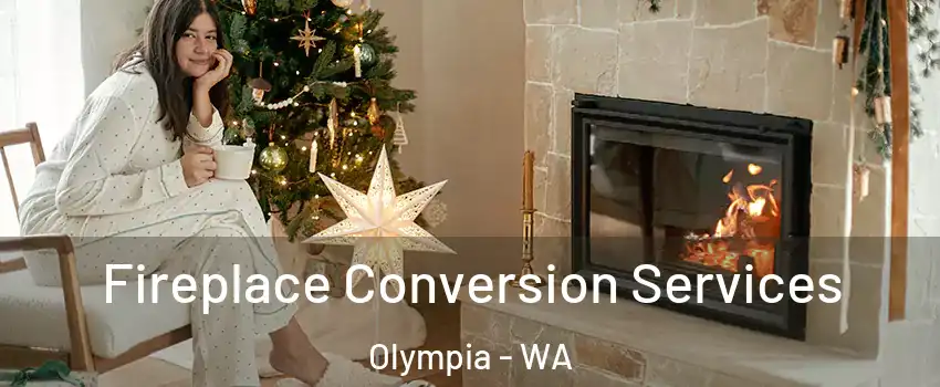  Fireplace Conversion Services Olympia - WA
