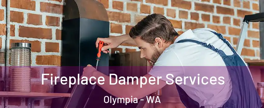  Fireplace Damper Services Olympia - WA