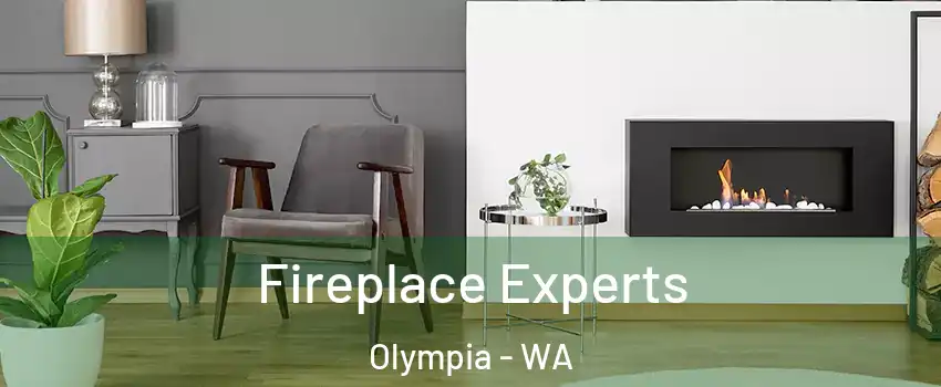  Fireplace Experts Olympia - WA