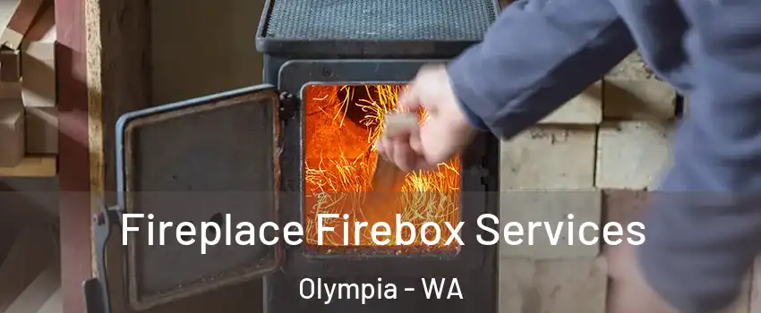  Fireplace Firebox Services Olympia - WA