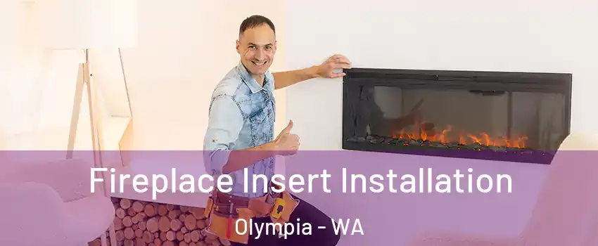  Fireplace Insert Installation Olympia - WA