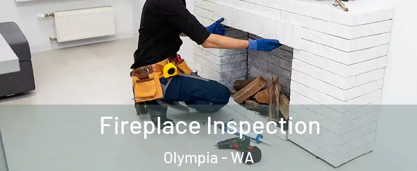  Fireplace Inspection Olympia - WA