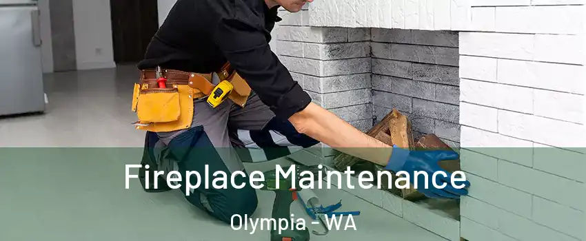  Fireplace Maintenance Olympia - WA