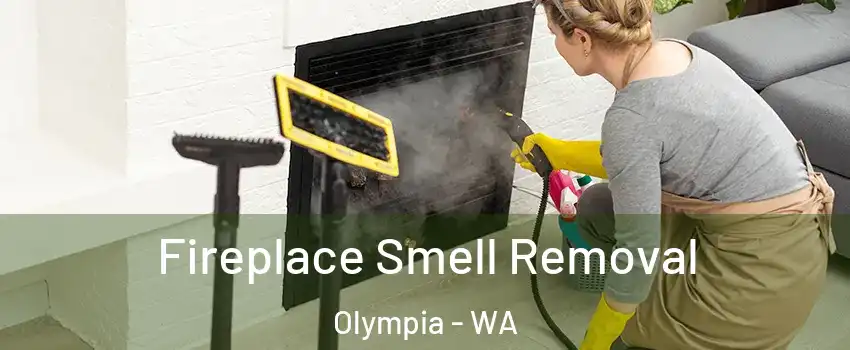  Fireplace Smell Removal Olympia - WA