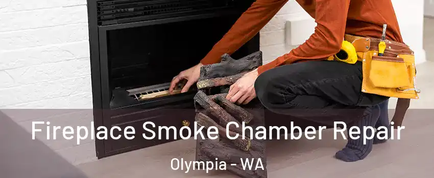  Fireplace Smoke Chamber Repair Olympia - WA
