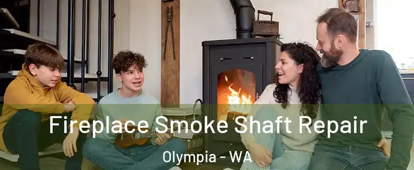 Fireplace Smoke Shaft Repair Olympia - WA