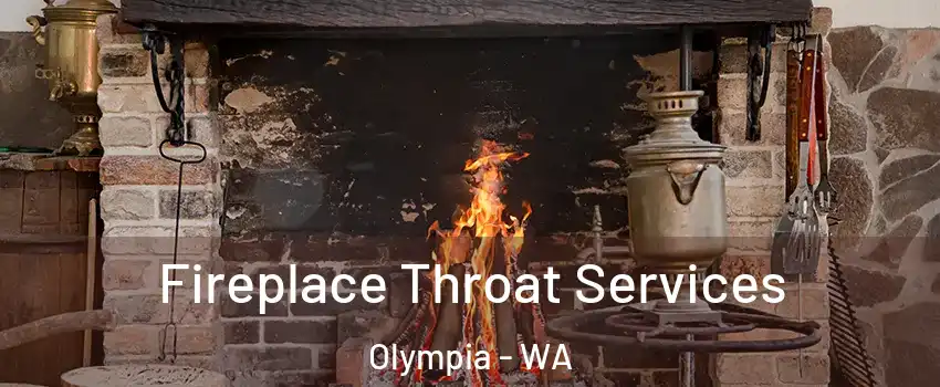  Fireplace Throat Services Olympia - WA