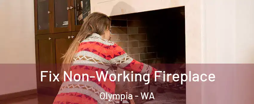  Fix Non-Working Fireplace Olympia - WA