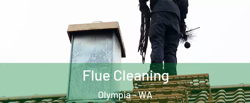  Flue Cleaning Olympia - WA