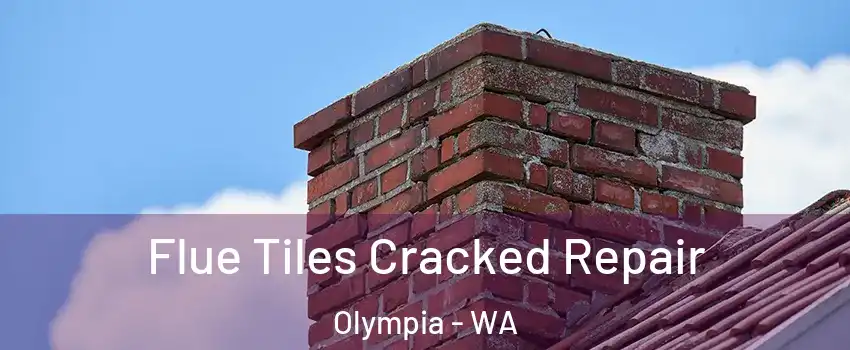 Flue Tiles Cracked Repair Olympia - WA
