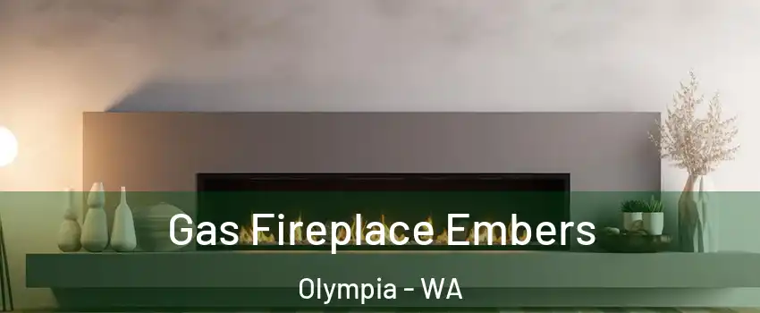  Gas Fireplace Embers Olympia - WA