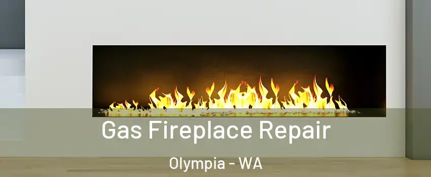  Gas Fireplace Repair Olympia - WA