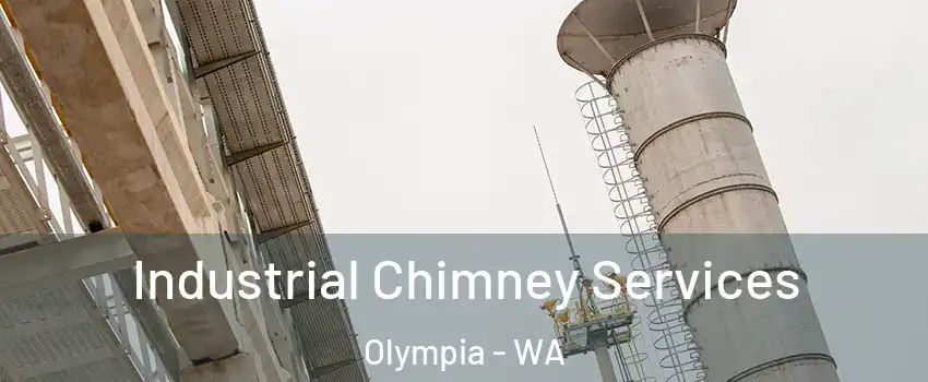  Industrial Chimney Services Olympia - WA