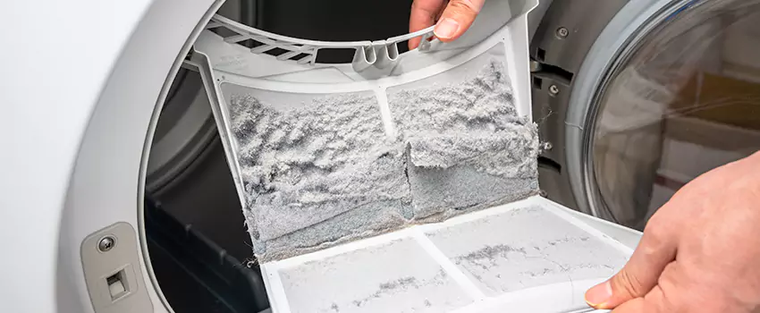 Best Dryer Lint Removal Company in Olympia, Washington