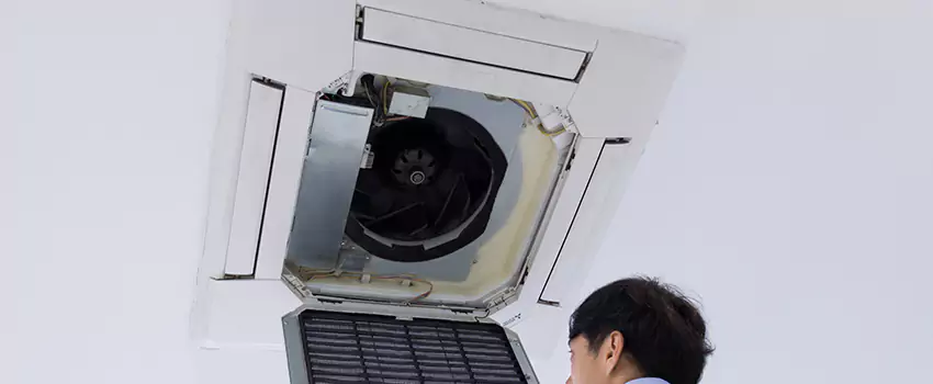Benefits of Professional Air Duct Cleaning in Olympia, Washington
