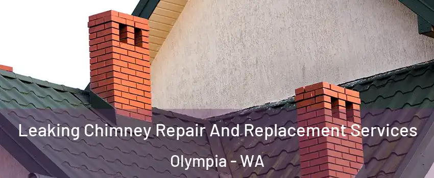  Leaking Chimney Repair And Replacement Services Olympia - WA