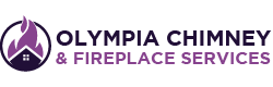 Fireplace And Chimney Services in Olympia