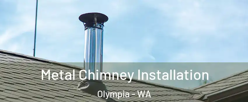  Metal Chimney Installation Olympia - WA
