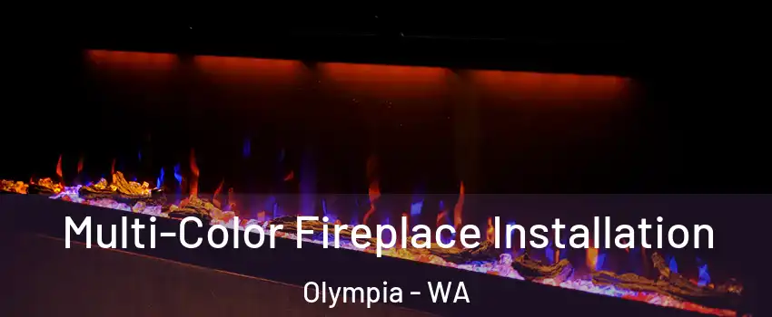  Multi-Color Fireplace Installation Olympia - WA